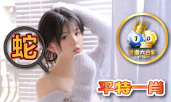澳门彩网材料库V5